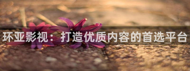 七七影视全集免费观看