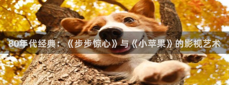 七七影院在线：80年代经典：《步步惊心》与《小苹果》的影视艺术