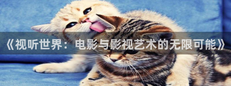 色七七影院中文字幕：《视听世界：电影与影视艺术的无限可能》
