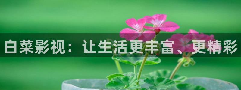伦理片七七影院：白菜影视：让生活更丰富、更精彩