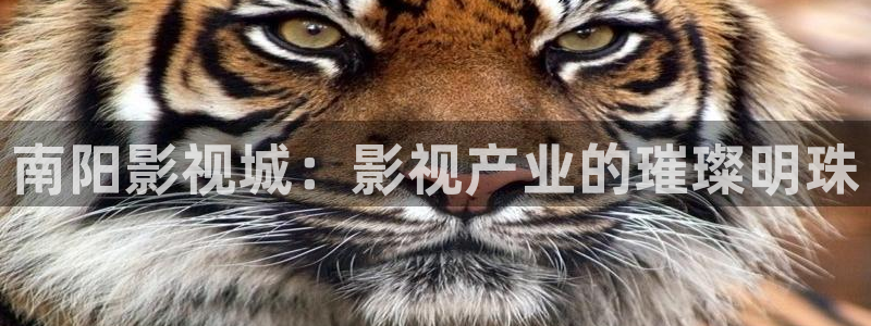 色七七影院亚洲：南阳影视城：影视产业的璀璨明珠