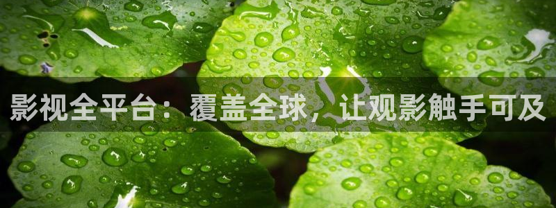 七七影院桃