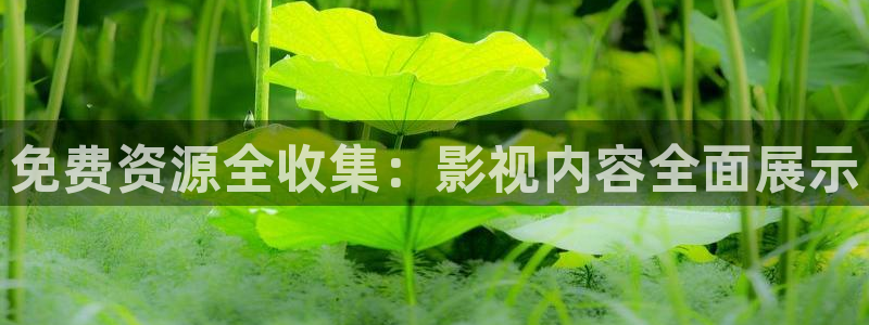 色七七影院在线免费观看