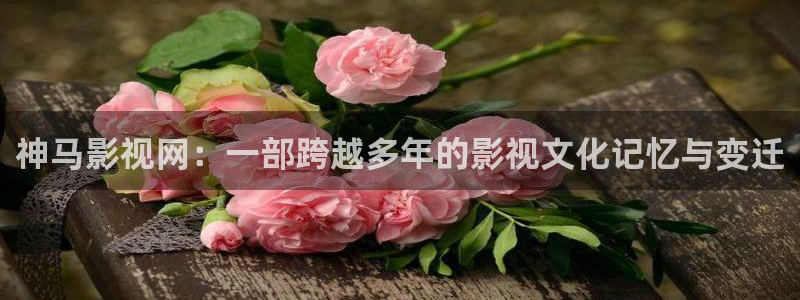 色七七影院在线视频